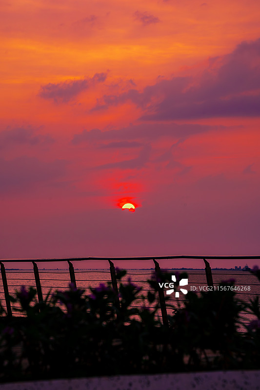 海口万绿园的落日图片素材