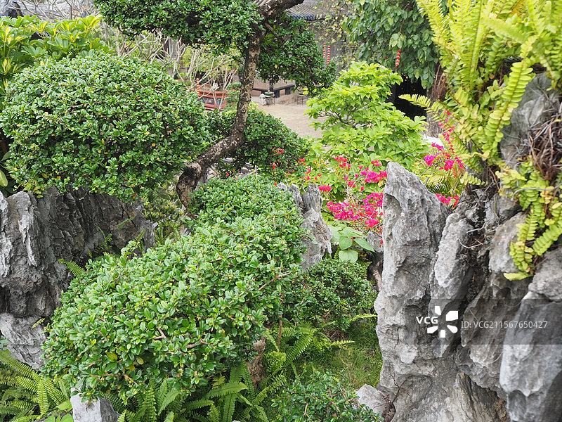 广东省广州市番禺区余荫山房-岭南四大园林-假山图片素材