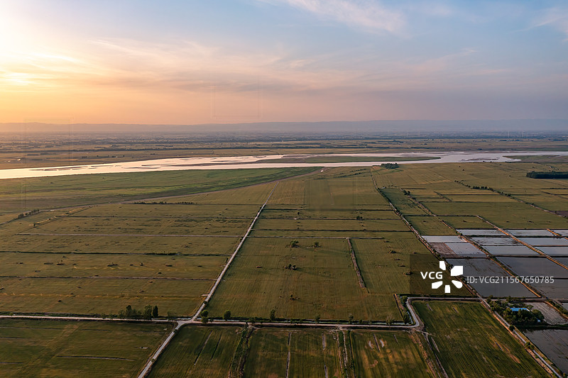 郑州王村黄河湿地小麦图片素材