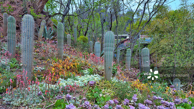 云南大理诺邓千年古村落图片素材