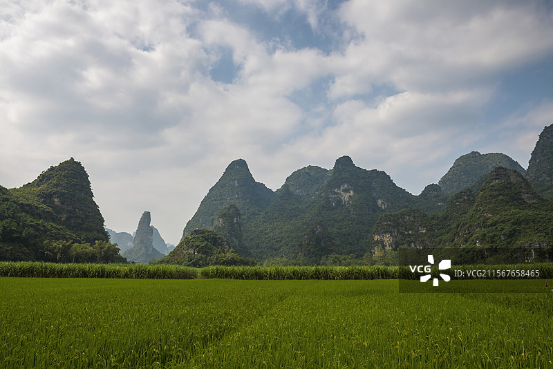 明仕田园的自然风光图片素材