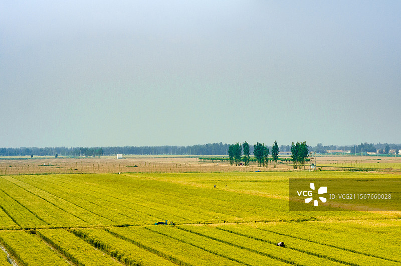 广阔的田野图片素材