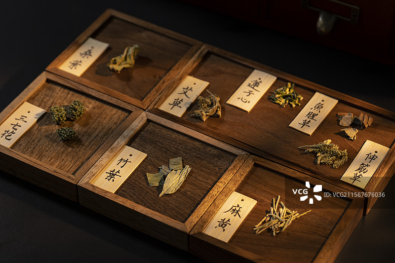 多种中药材图片素材