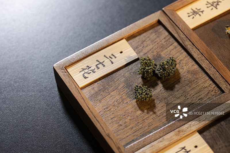 中药材三七花图片素材