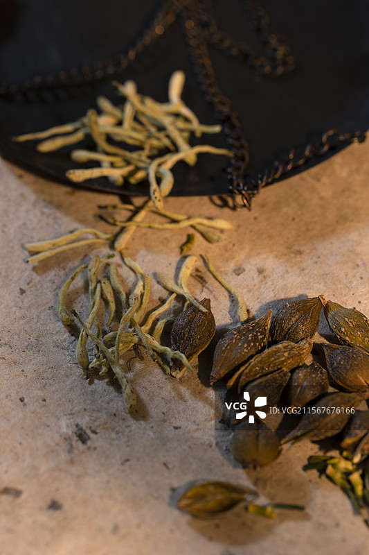 养生中药配方：金银花和连翘图片素材