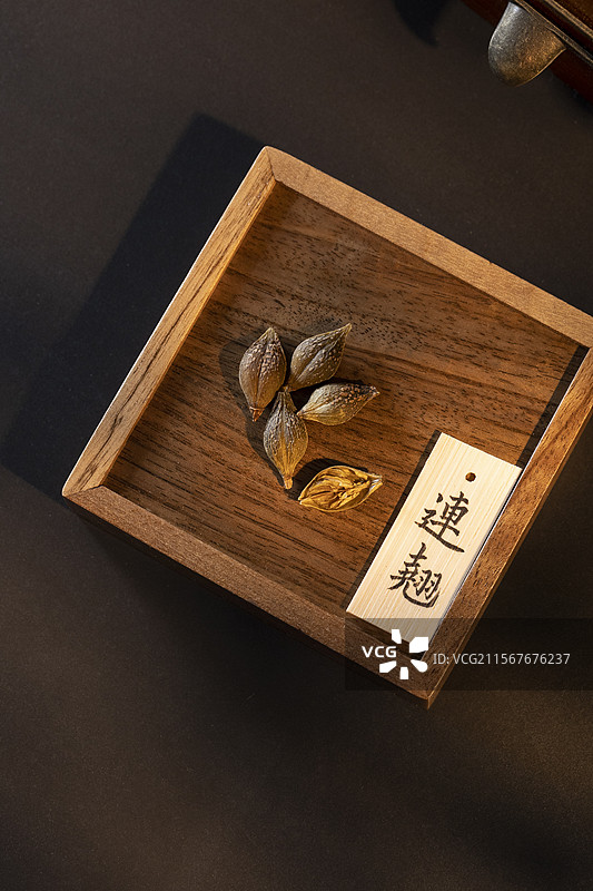 中药材连翘图片素材