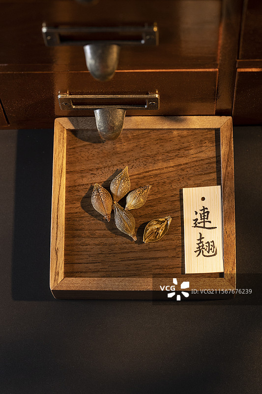 中药材连翘图片素材