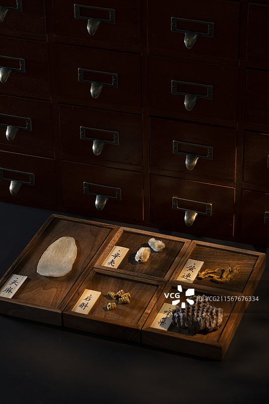 多种中药材图片素材