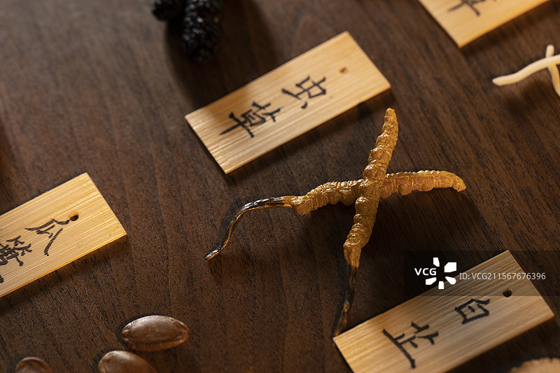 中药材冬虫夏草（虫草）图片素材