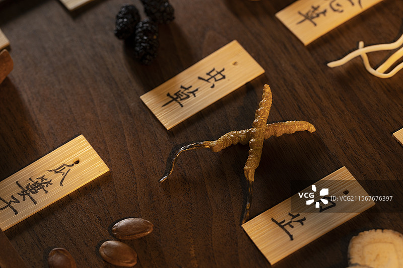 中药材冬虫夏草（虫草）图片素材