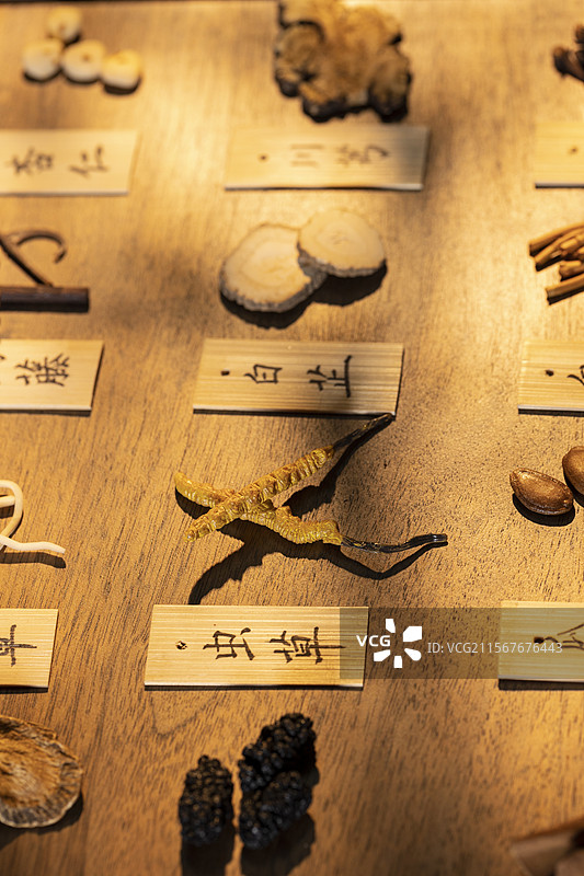 多种中药材图片素材