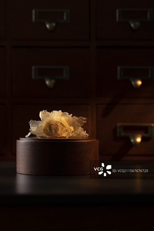 中药材木蝴蝶图片素材