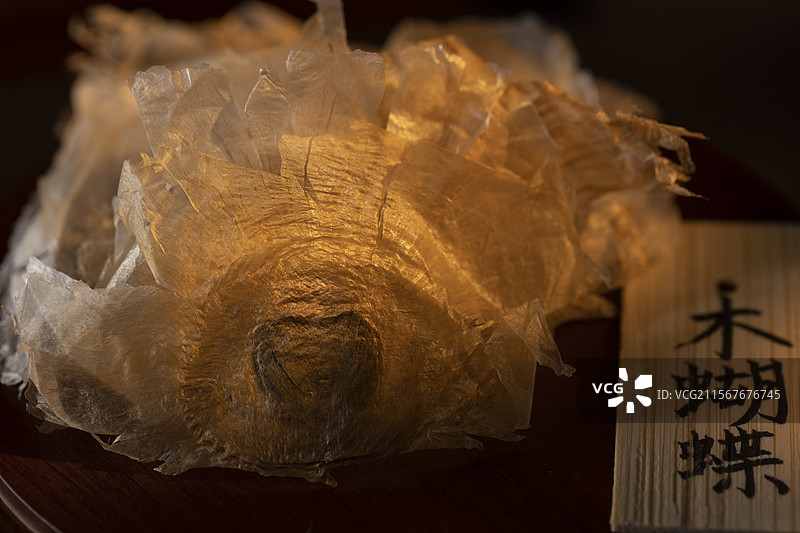 中药材木蝴蝶图片素材