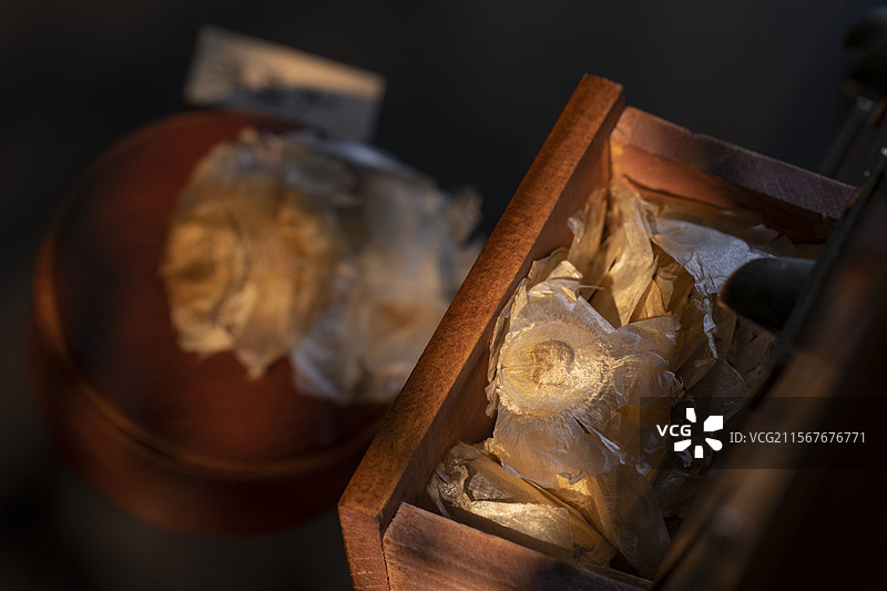 中药材木蝴蝶图片素材