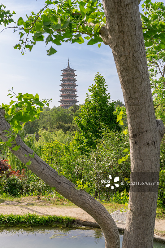江苏扬州瘦西湖景区眺望大明寺栖灵塔图片素材