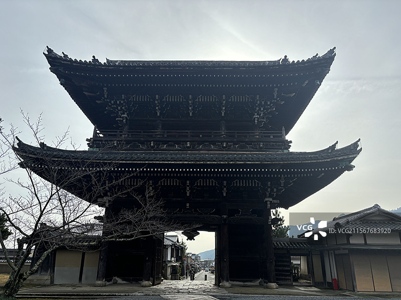 日本京都岚山清凉寺寺庙神社枫叶秋景图片素材