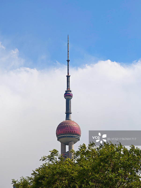 上海北外滩远望蓝天白云绿树和东方明珠图片素材