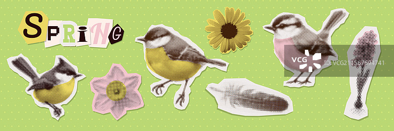 春天的花朵、山雀、羽毛的半色调艺术图片素材