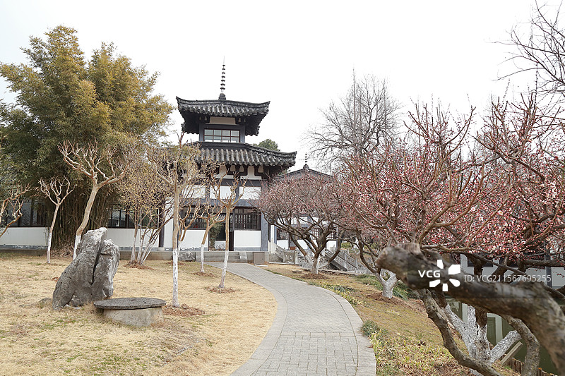 镇江南山文苑梅花与学林轩图片素材