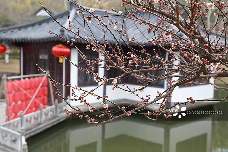 镇江南山文苑梅花与南山驿站图片素材