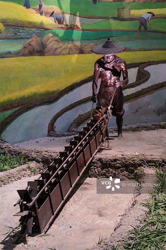 稻田雕塑与犁具图片素材