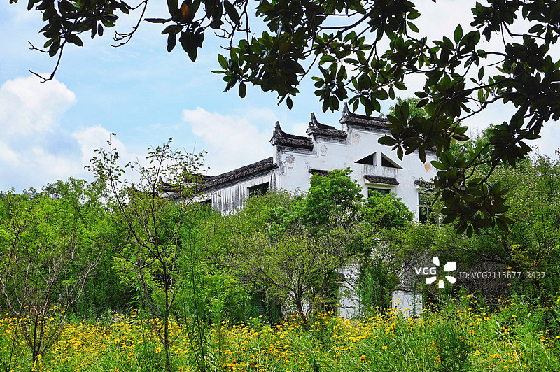 江西婺源鸳鸯湖图片素材