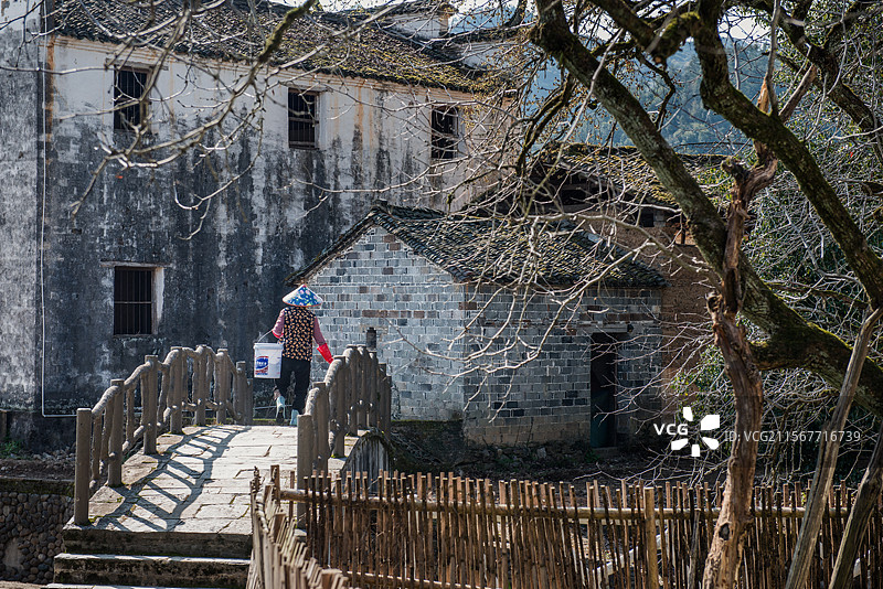 春天的婺源乡村图片素材