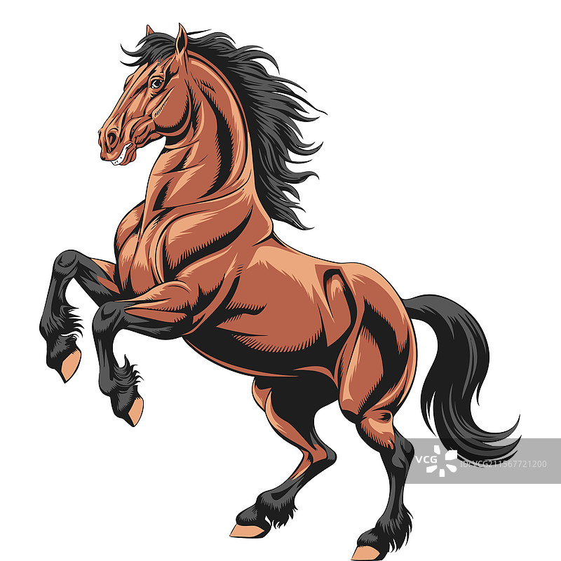 大胆的平面风格马艺术图片素材