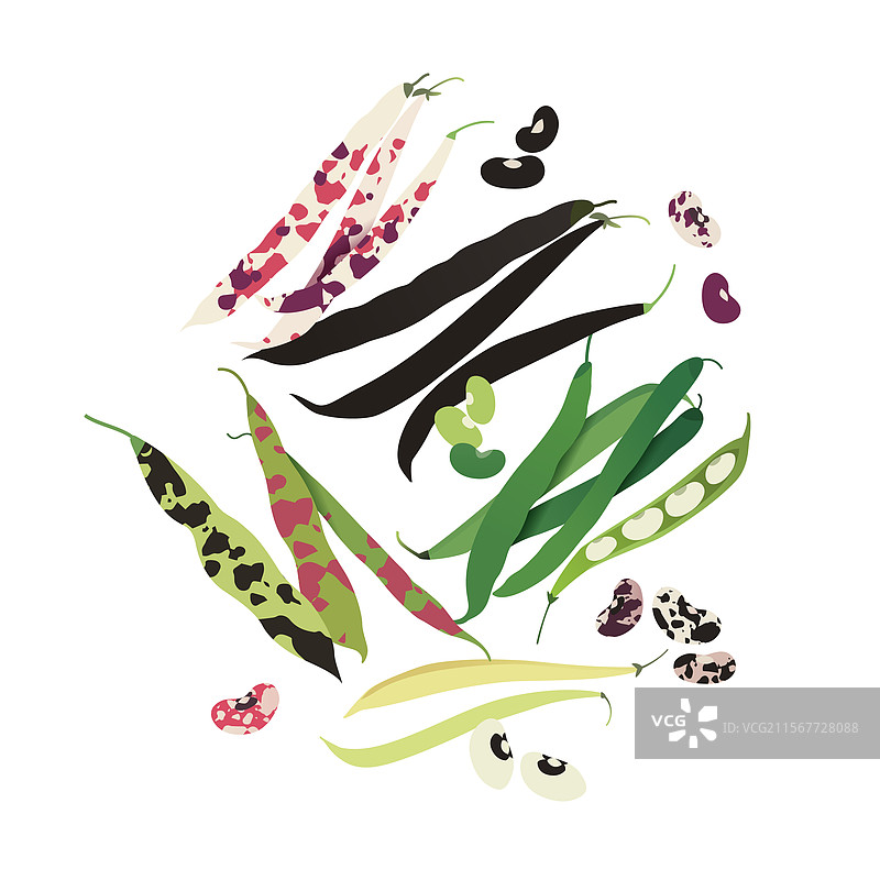 豆类套装图片素材