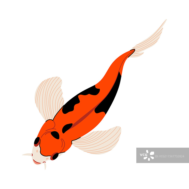 锦鲤鱼简约图标色彩丰富图片素材