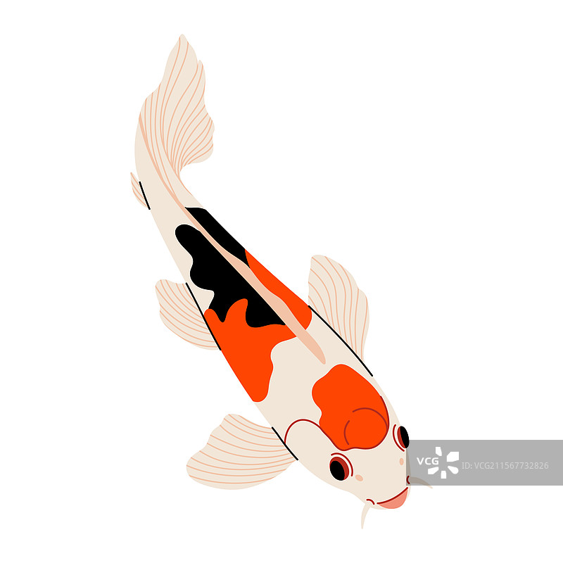锦鲤图标 卡通风格的锦鲤 简约 多彩图片素材