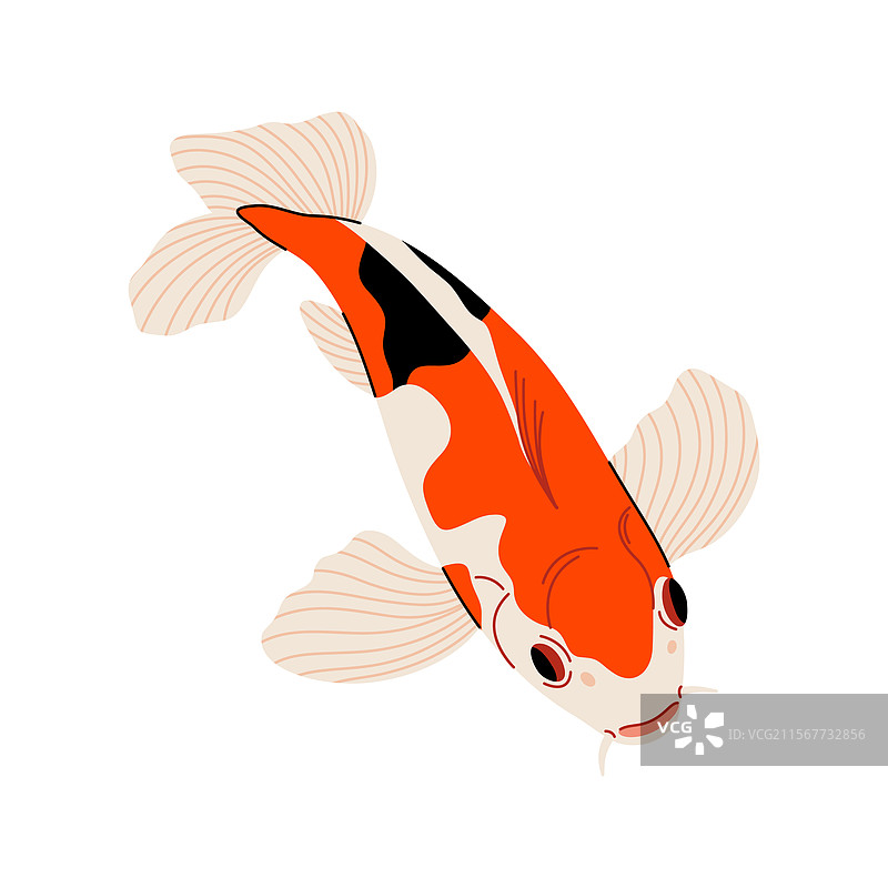 彩色卡通风格的简约锦鲤图标图片素材