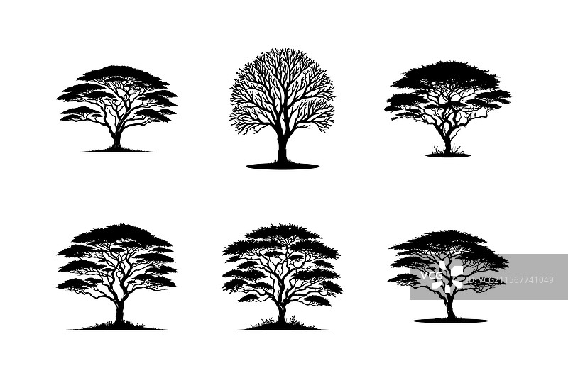 树的剪影插图集图片素材