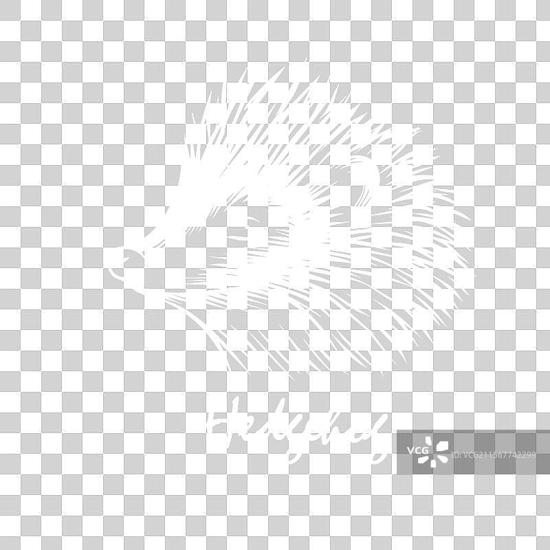 黑色背景上的刺猬手绘图图片素材