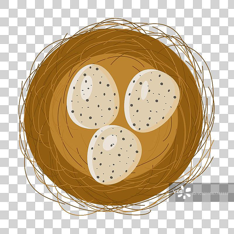 鸟巢的顶部视角，平面设计，带有腿部图片素材