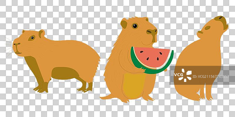 一组孤立的平面设计卡通水豚图片素材