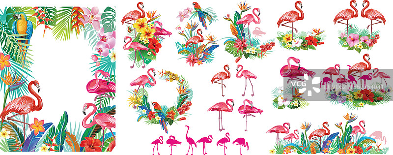一组由火烈鸟组成的热带花卉布置图片素材