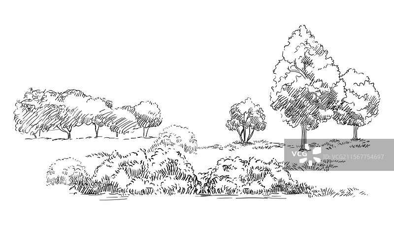手绘乡村风景，草地和树木图片素材