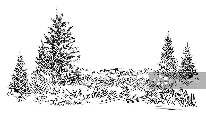 手绘的常青树风景图片素材