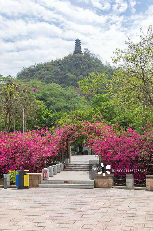 柳州蟠龙山公园园林景观图片素材