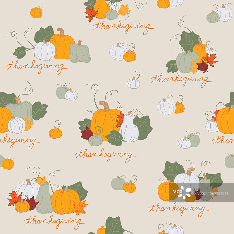 节日秋季感恩节南瓜和葫芦图片素材