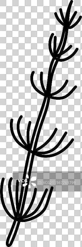 涂鸦海藻植物图片素材