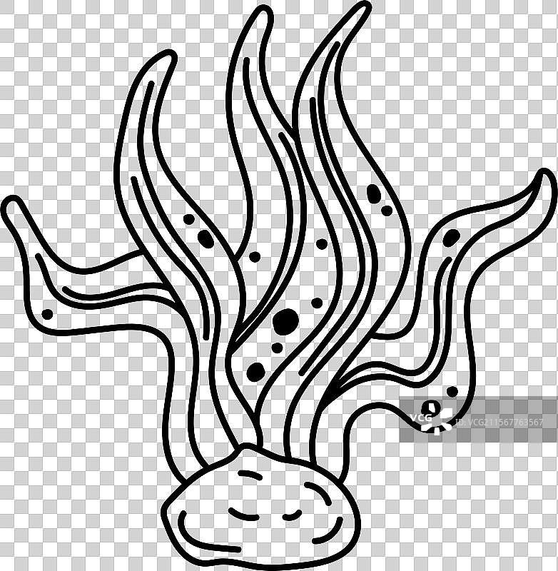 涂鸦海藻植物图片素材