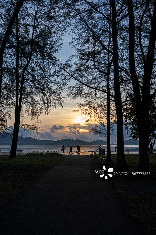 普吉岛日出时，当地的一个小公园，是观赏日出的最佳地点之一，走过被树木簇拥的小径，直达海上第一类阳光图片素材