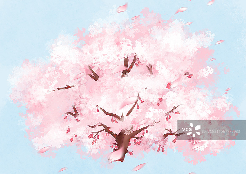 樱花树手绘插画图片素材
