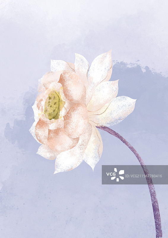 荷花元素手绘插画图片素材