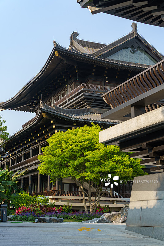 广州市文化馆的传统古韵建筑图片素材