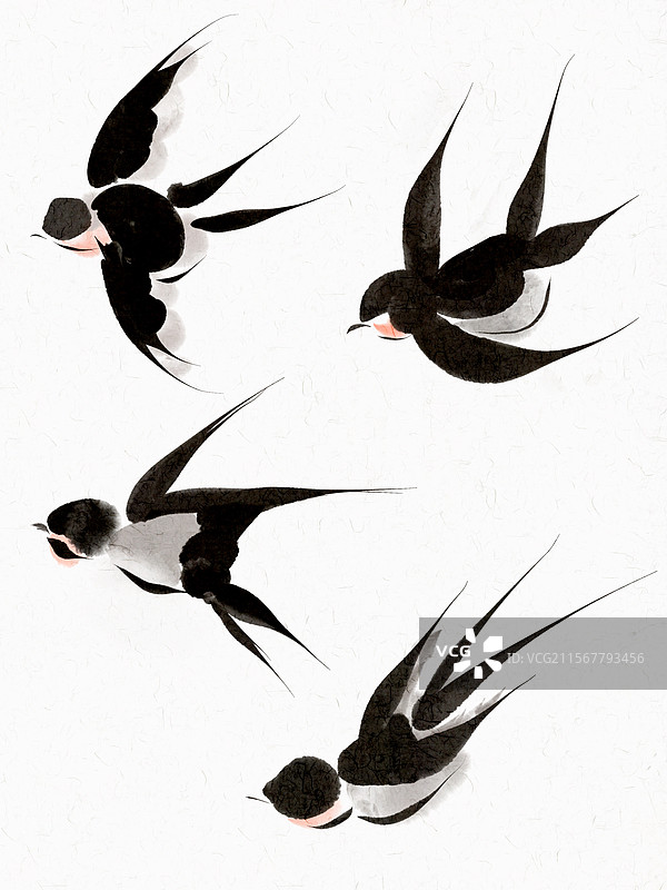 燕子水墨素材有纸纹图片素材