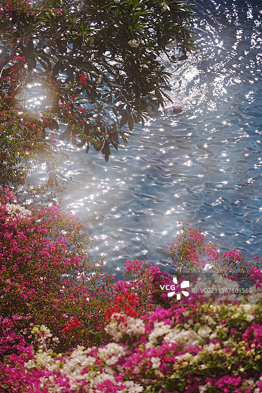 丁达尔效应下的夏日风情（拍摄于印尼巴厘岛阿雅娜酒店）图片素材