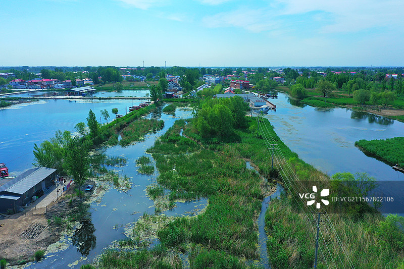 碧水接天湖连湖，雄安璀璨升明珠 荷花香艳无穷尽，游船飞艇伴雁鹭 世外桃源传千古，渔翁鸬鹚舟横渡图片素材